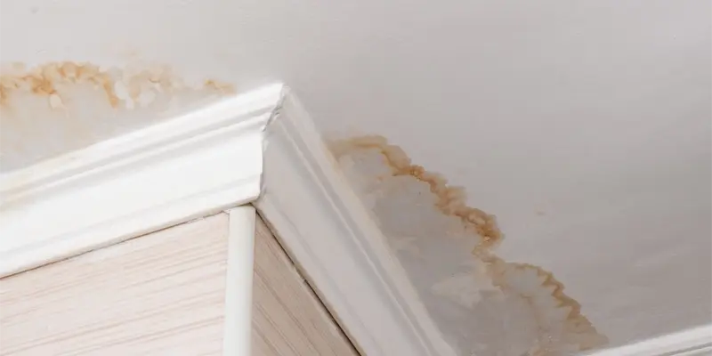 water damaged ceiling